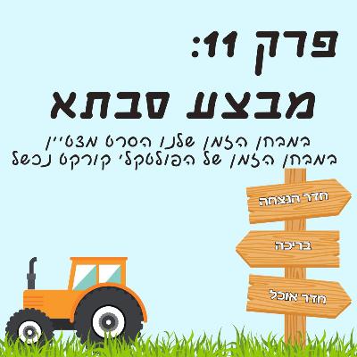 פרק 11: מבצע סבתא