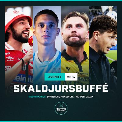 #567 Skaldjursbuffé