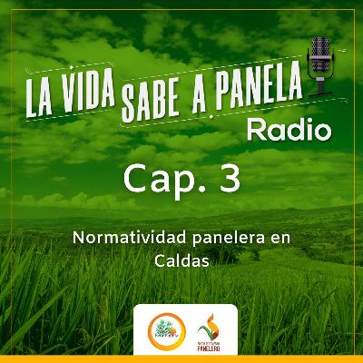 Capítulo 3 - Normatividad panelera en Caldas Capítulo 3 - Normatividad panelera en Caldas