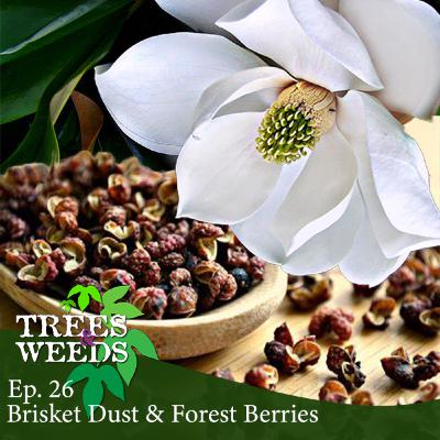 Ep. 26 - Brisket Dust & Forest Berries Ep. 26 - Brisket Dust & Forest Berries