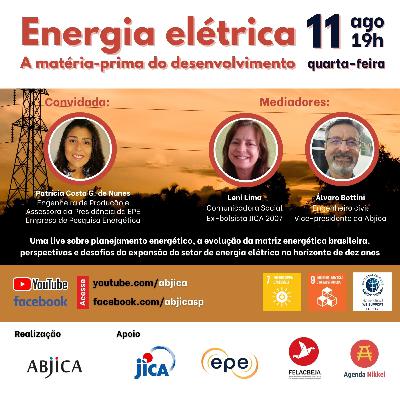 Energia Elétrica - A matéria -prima do desenvolvimento Energia Elétrica - A matéria -prima do desenvolvimento