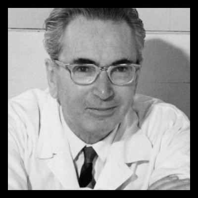 Viktor Frankl revela o desespero que destrói as pessoas por dentro Viktor Frankl revela o desespero que destrói as pessoas por dentro