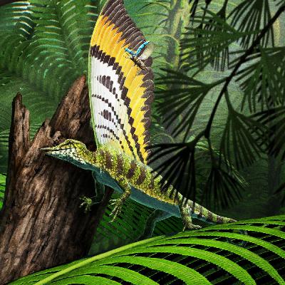 Wunderreptil Mirasaura - So entschlüsseln Saurier-Forscher alte Fossilien