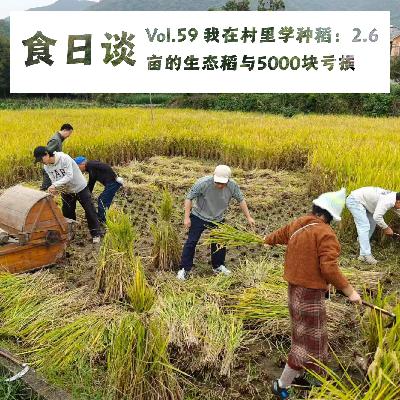 我在村里学种稻：2.6亩生态稻与近5000块亏损 | Vol.59