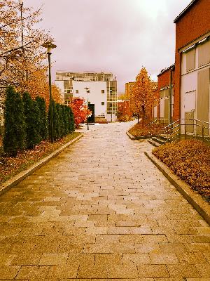 Djkocha- Cybernetic (Original Mix)2025