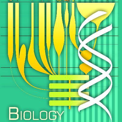 CH-12 BIOTECHNOLOGY AND ITS APPLICATIONS CH-12 BIOTECHNOLOGY AND ITS APPLICATIONS