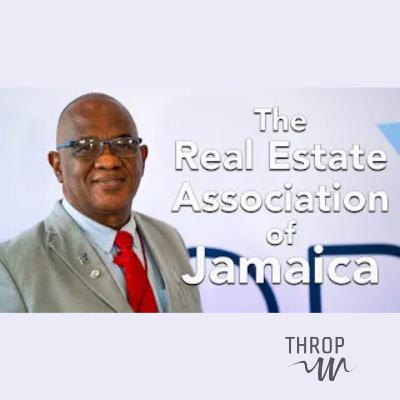 Real Estate in Jamaica | Tackling Oversaturation & Underdevelopment Real Estate in Jamaica | Tackling Oversaturation & Underdevelopment