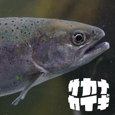 ギョキョウ :: 漁業協同組合って何をしているの?一度は聴いたことのある「漁協」の仕事🐟 ギョキョウ :: 漁業協同組合って何をしているの?一度は聴いたことのある「漁協」の仕事🐟