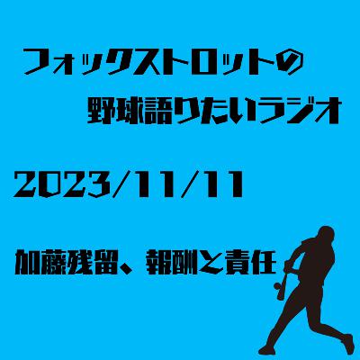 11/11  加藤残留、報酬と責任 from Radiotalk
