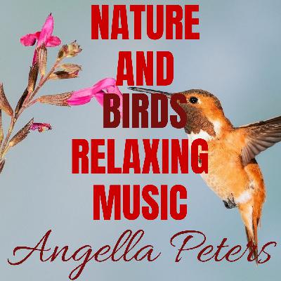 Nature And Birds Sounds Relaxing Music Nature And Birds Sounds Relaxing Music