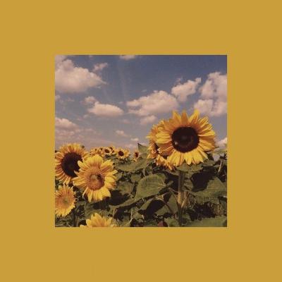 Felicidad en pandemia