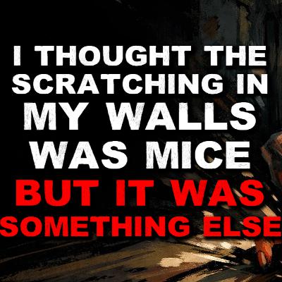 I Thought the Scratching In My Walls Was Mice, But It Was Something Else I Thought the Scratching In My Walls Was Mice, But It Was Something Else