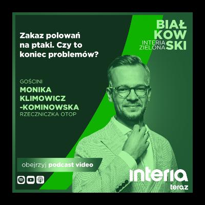Kolejne ptaki objęte ochroną. Ornitolodzy komentują reformę