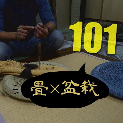 #101　畳と盆栽 vol.01 YOKOYAMA TATAMI 横山充さん、現代盆栽 川﨑仁美さん