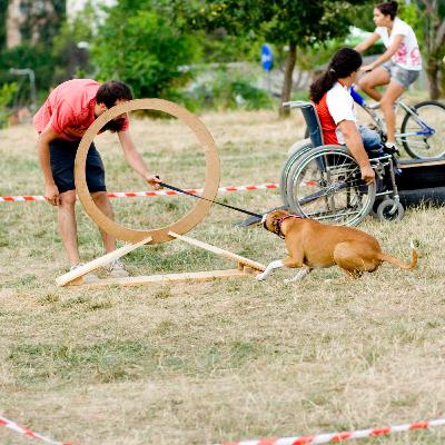Episod 5: Agility pentru câini (cu Iulia Lazăr)