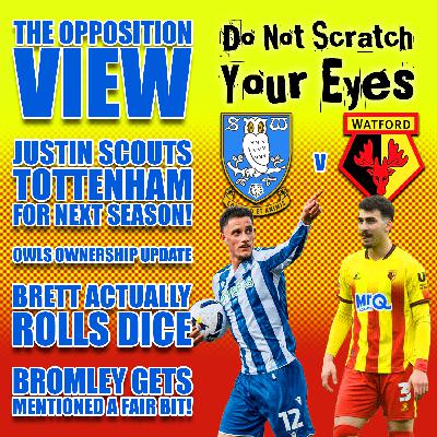 Opposition View - Sheffield Wednesday