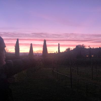 Passion for Italy Podcast Episode 15: Meet the Winemaker - A Super Tuscan Experience !