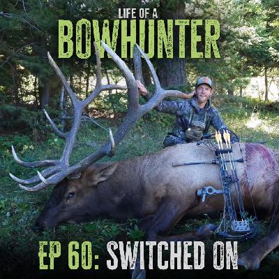 Episode 60:  Switched On