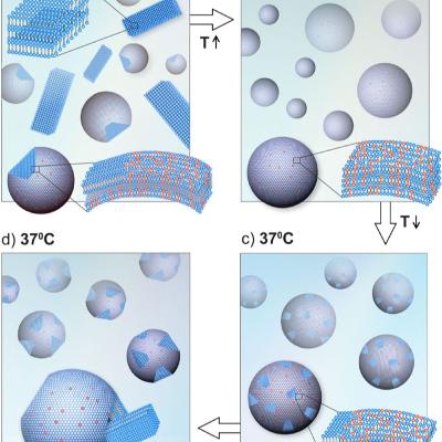 Delayed Nucleation in Membranes
