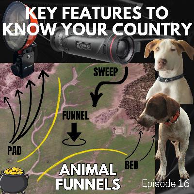 Key features to know your country - WILD ANIMAL FUNNELS