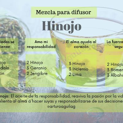 Hinojo " El aceite de la responsabilidad "