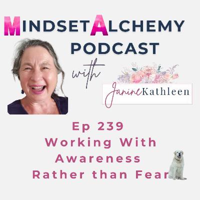 Episode 239 Working From Awareness Rather Than Fear