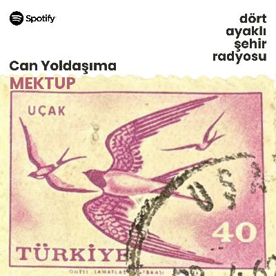 Can Yoldaşıma Mektup | Deniz Dölek’in Dobi’ye Mektubu
