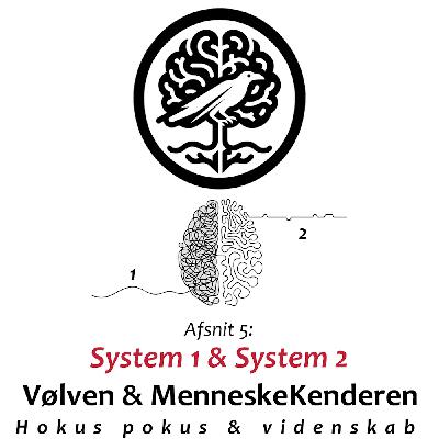 System 1 og 2