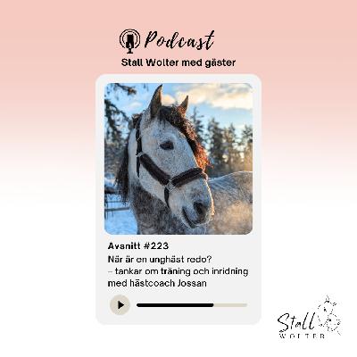 #223 – När är en unghäst redo? – tankar om träning och inridning med hästcoach Jossan #223 – När är en unghäst redo? – tankar om träning och inridning med hästcoach Jossan