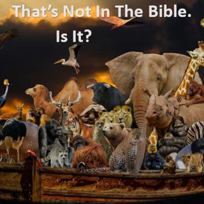 Noah's Ark Was Crowded Beyond Your Imagination
