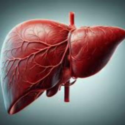 Heal your Liver Meditation Heal your Liver Meditation