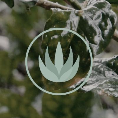 Deep Meditation with Running Water and Soothing Music: Finding Peace with the Flow Deep Meditation with Running Water and Soothing Music: Finding Peace with the Flow