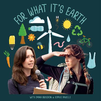 For What It's Earth chat