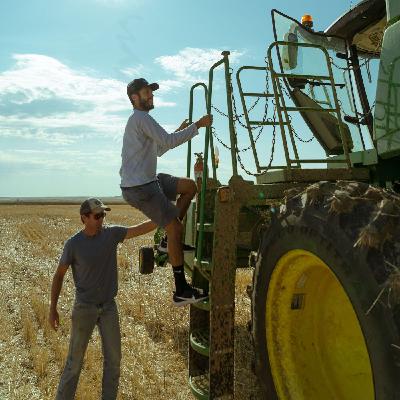 The (Regenerative) Chickpea Connection