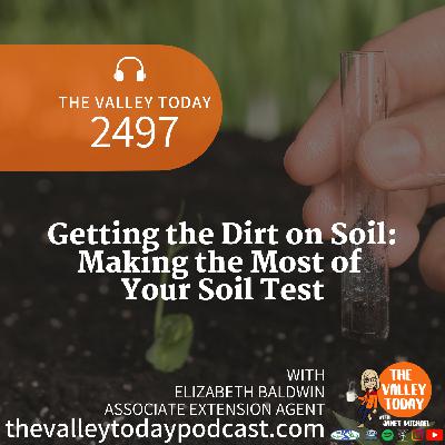 Getting the Dirt on Soil: Making the Most of Your Soil Test