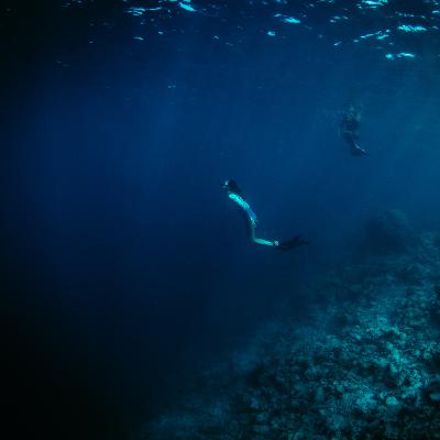 Meditación guiada. La compasión.