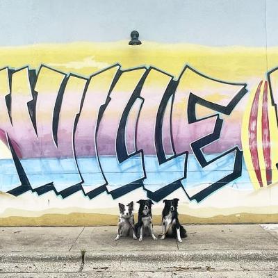 Episode 7 - Big Event Logistics