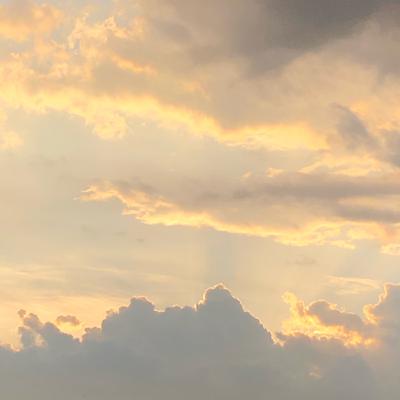 Podcast sobre anatomia palpatória