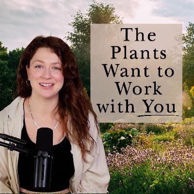The Plants Want to Work With You