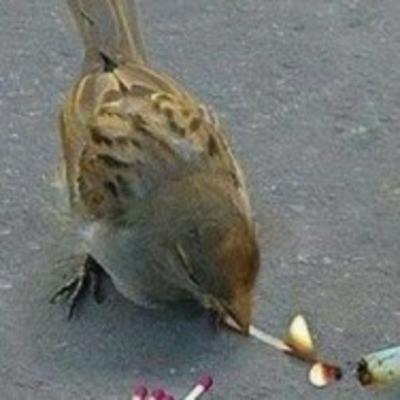 A NEW SPECIES?!