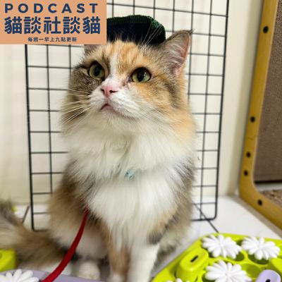 EP203 問題行為要多久才能解決？