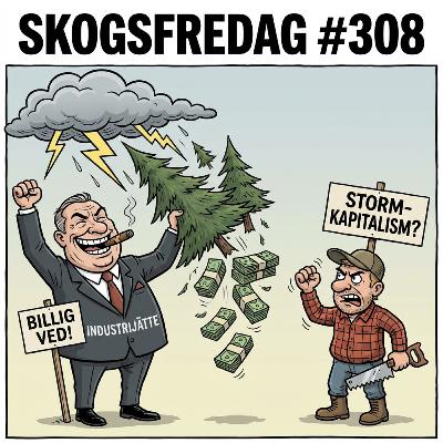 Skogsfredag #308 - Låna istället för att avverka? Om Q4-rapporter och nya kalkyler
