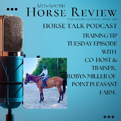 Training Tip Tuesdays: Goal Setting. When is it ok to walk away from a riding plan for the day, or power through with your horse?