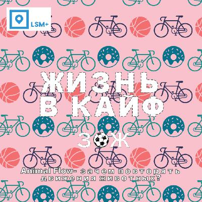 Animal Flow- зачем люди повторяют движения животных? Animal Flow- зачем люди повторяют движения животных?