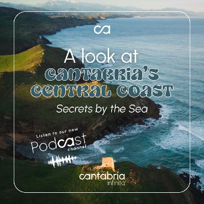 Discover the Central Coast – Secrets of the Shoreline