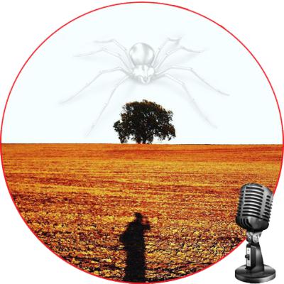 Sicurezza nel web Sicurezza nel web