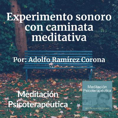 Experimento sonoro con caminata meditativa