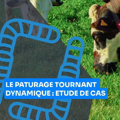 Le pâturage tournant dynamique agroforestier : cas pratique, Mathieu Bessière et Alain Canet