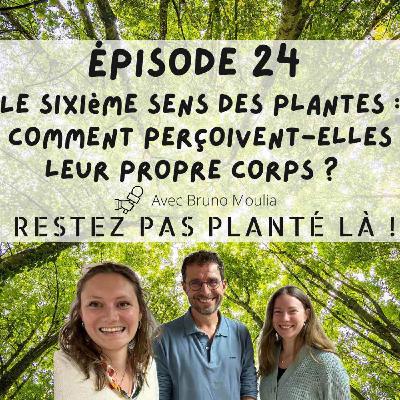 Le sixième sens des plantes : comment perçoivent-elles leur propre corps ? Avec Bruno Moulia Le sixième sens des plantes : comment perçoivent-elles leur propre corps ? Avec Bruno Moulia