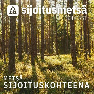 Kimmo Koistinen - Metsä sijoituskohteena ja luontoarvot